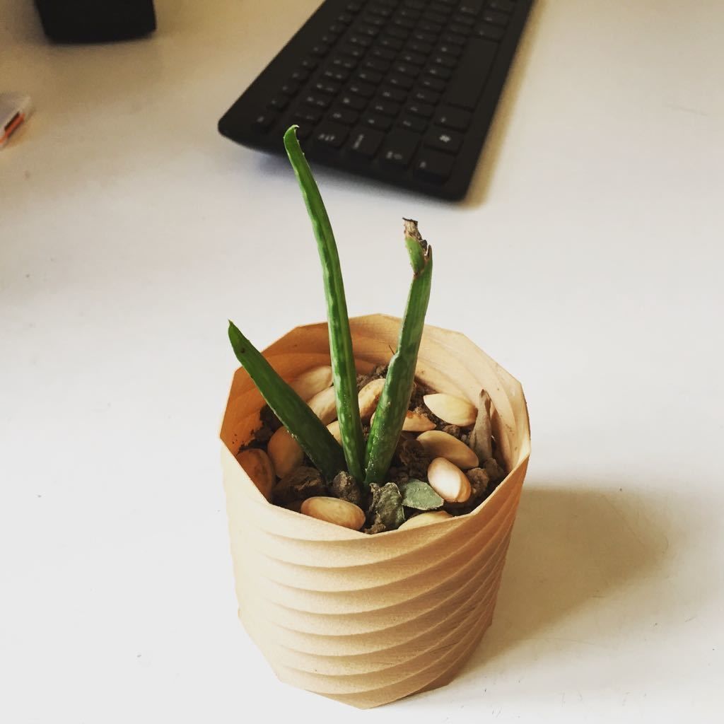 Colour Full planter 3D print model_2