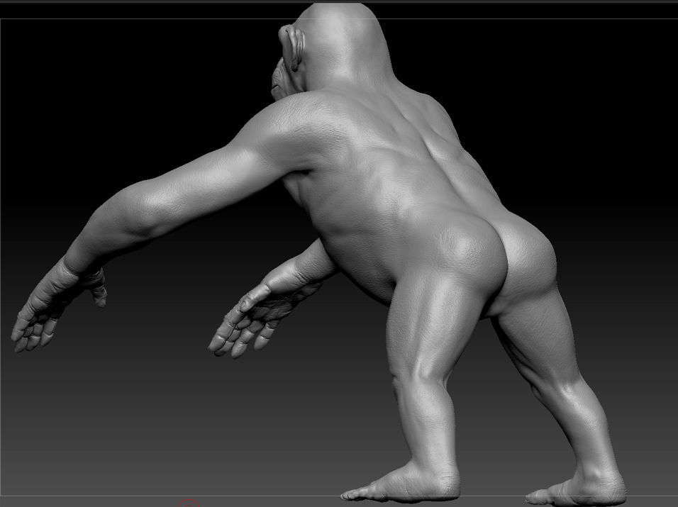 Chimpanzee Maya 3D model_6