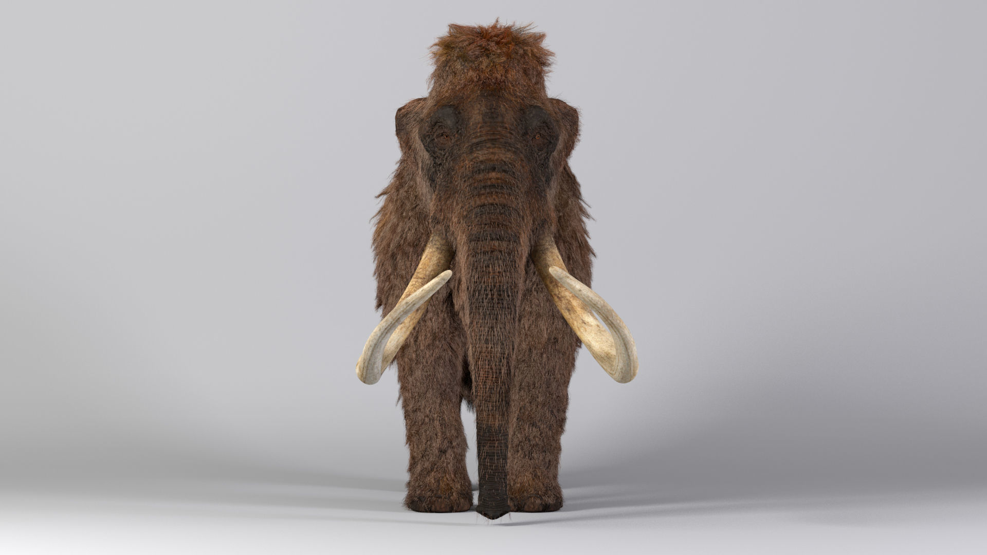 Mammoth Maya 3D model_5
