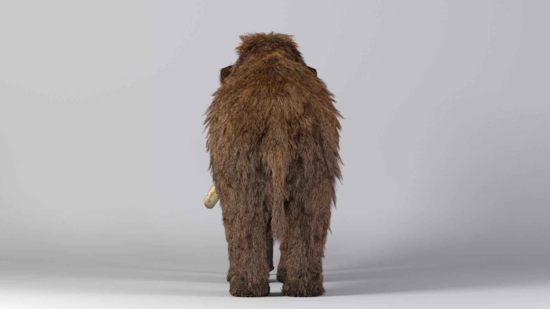 Mammoth Maya 3D model_6