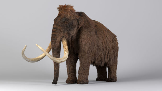 Mammoth Maya 3D model