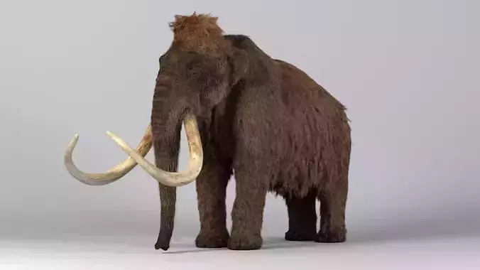 Mammoth Maya 3D model