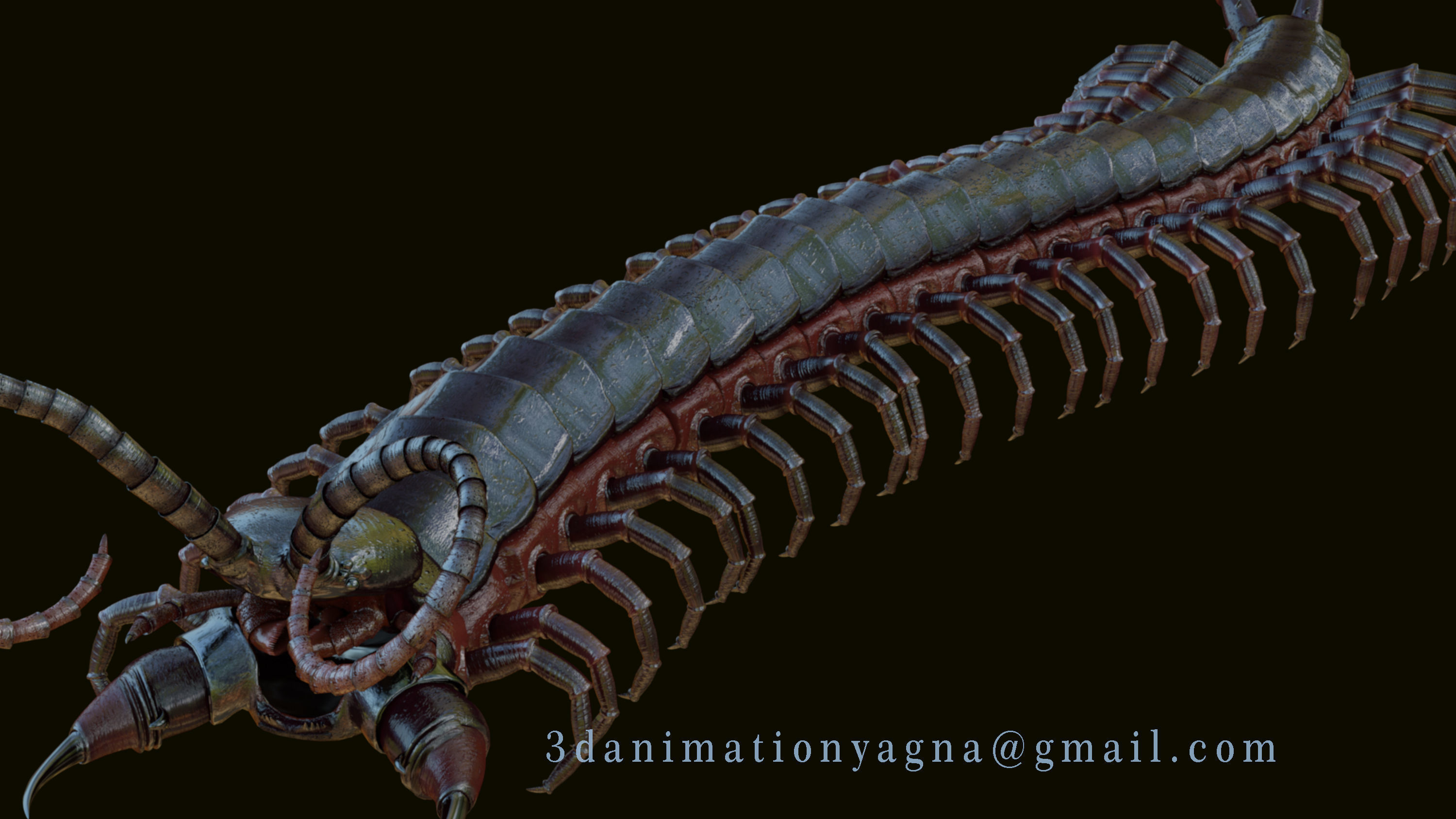 centipede 3d model alien creature with lot of claws 3D model_6
