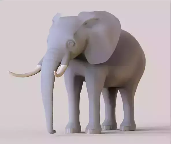 Elephant with tusks