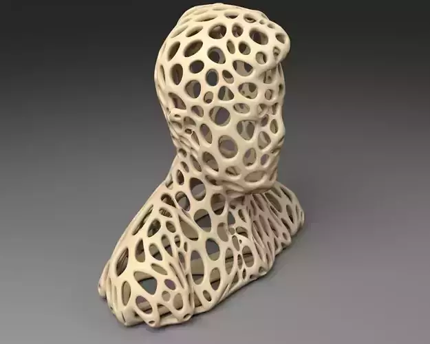  The head of Stephen Colbert - Voronoi Style