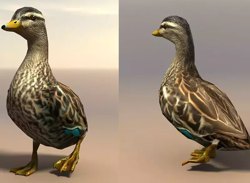 Duck Female Low-poly 3D model