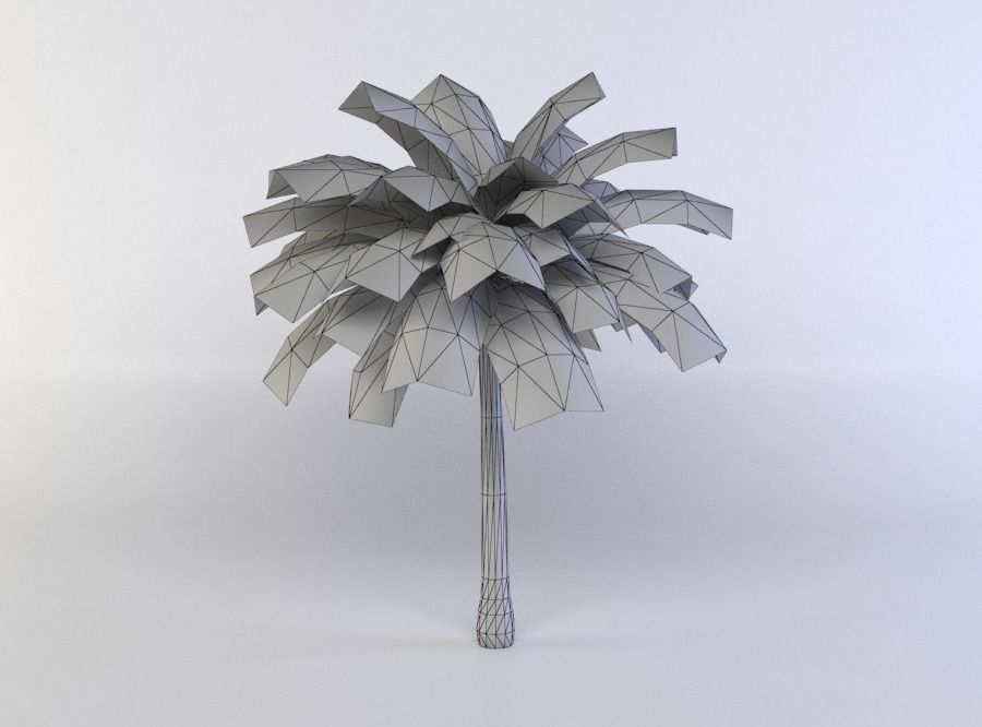 Palm Tree Low-poly 3D model_4