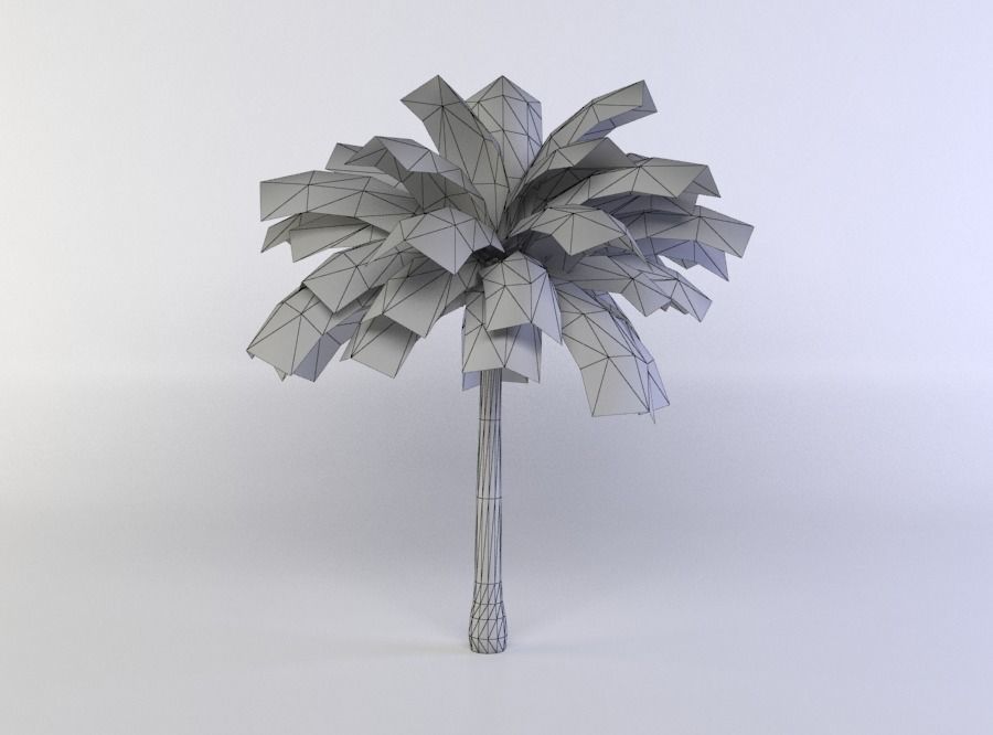 Palm Tree Low-poly 3D model_5