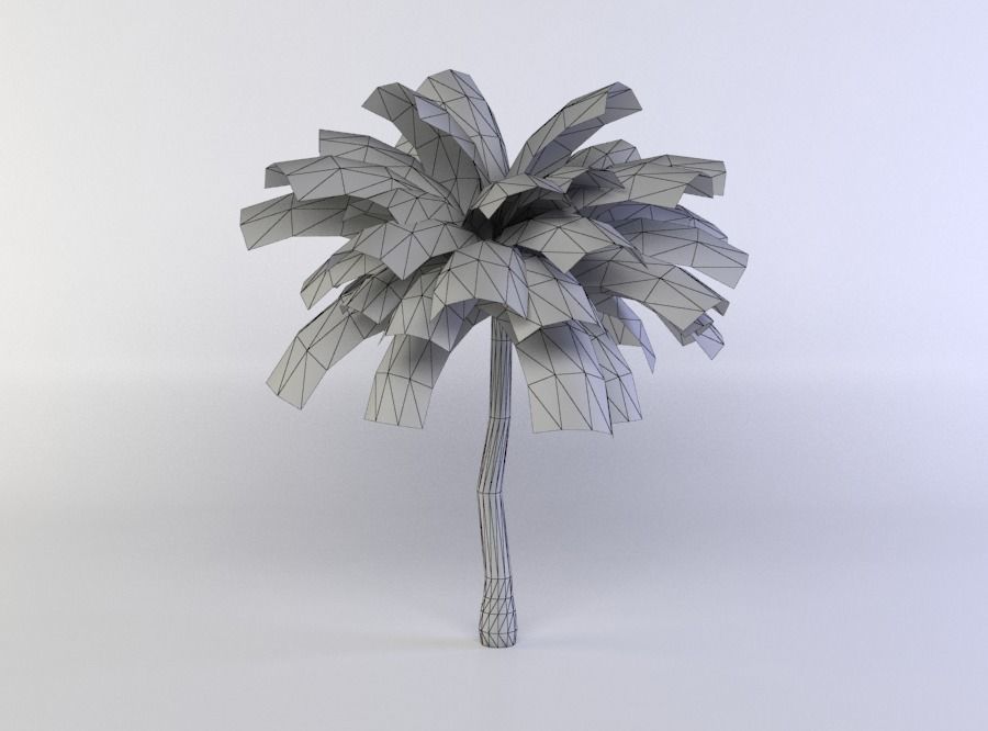 Palm Tree Low-poly 3D model_3