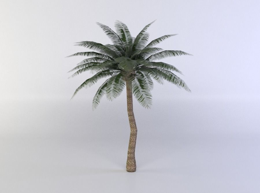 Palm Tree Low-poly 3D model_1