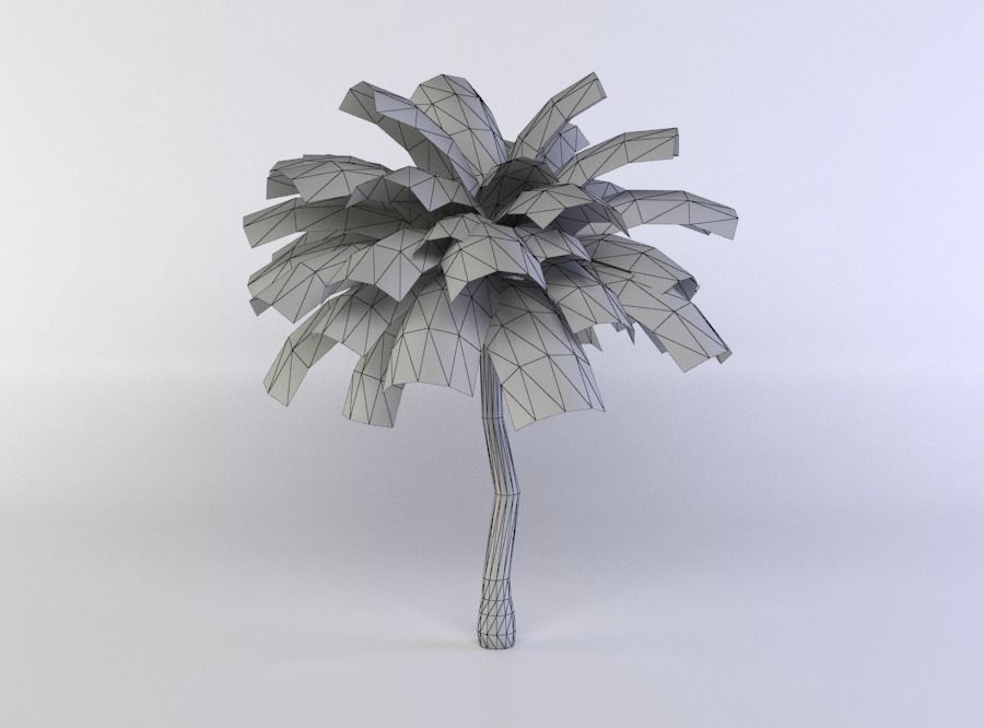Palm Tree Low-poly 3D model_4
