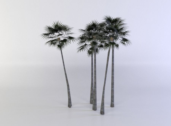 Palm trees Low-poly 3D model
