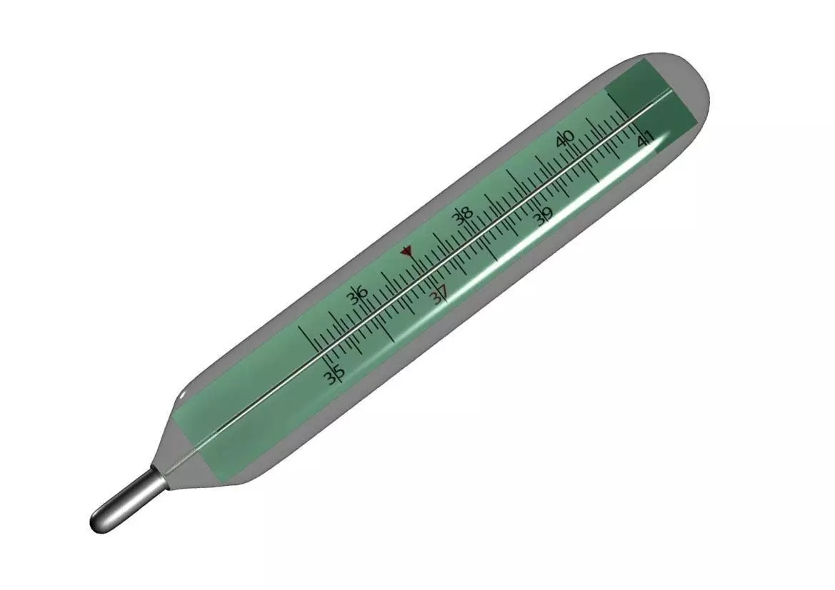 Thermometer fever Free 3D model