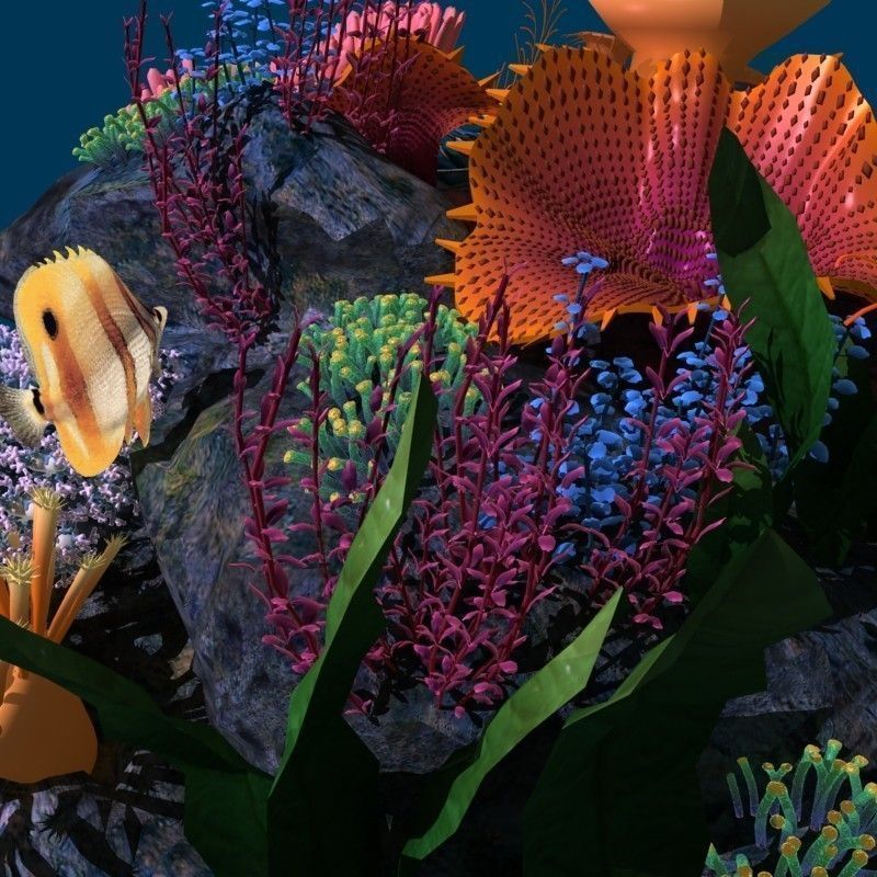 Coral reef transparent 3D model_11
