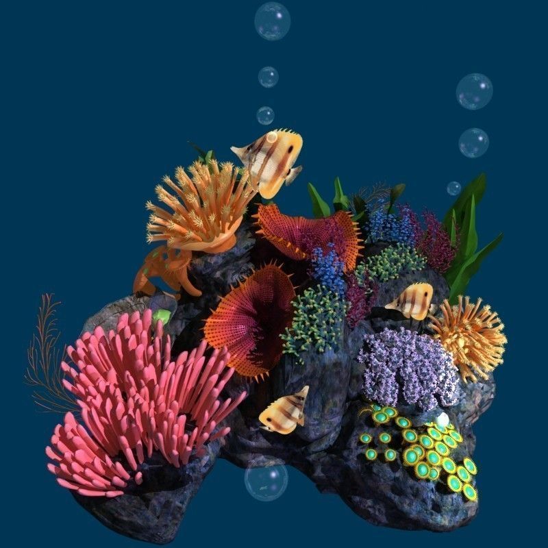 Coral reef transparent 3D model_5