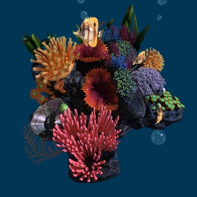 Coral reef transparent 3D model_4
