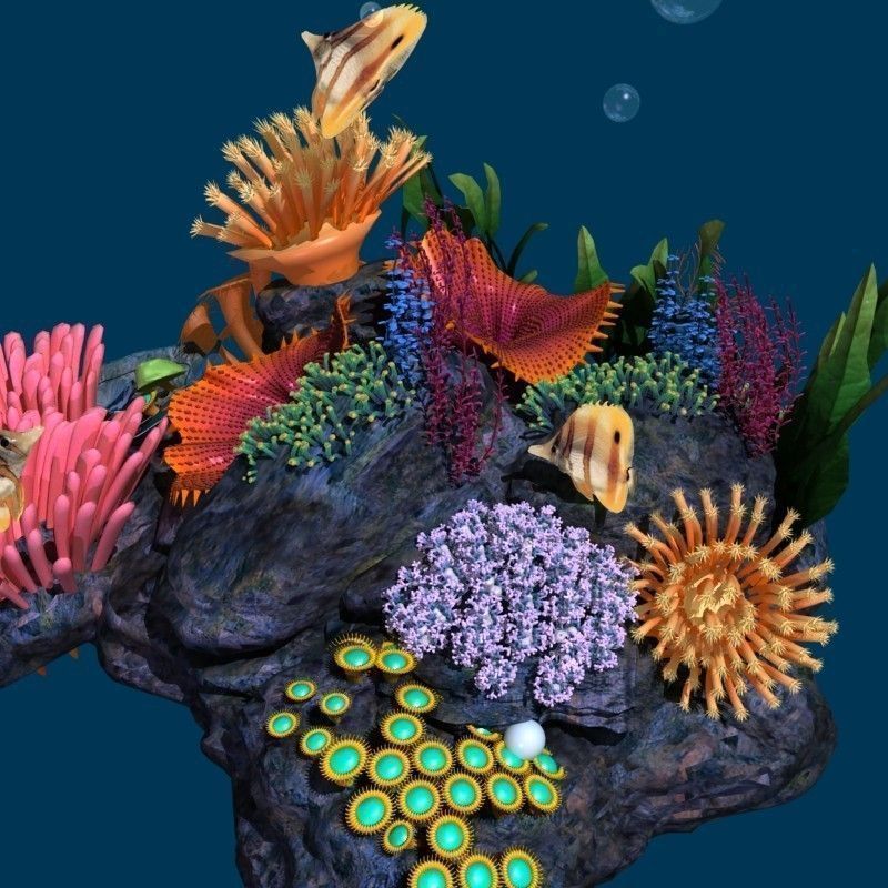 Coral reef transparent 3D model_6
