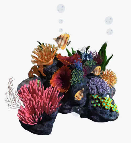 Coral reef transparent 3D model_0