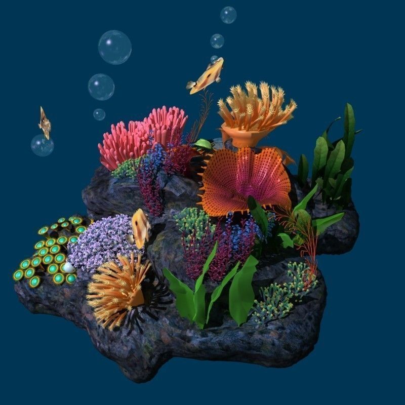 Coral reef transparent 3D model_3