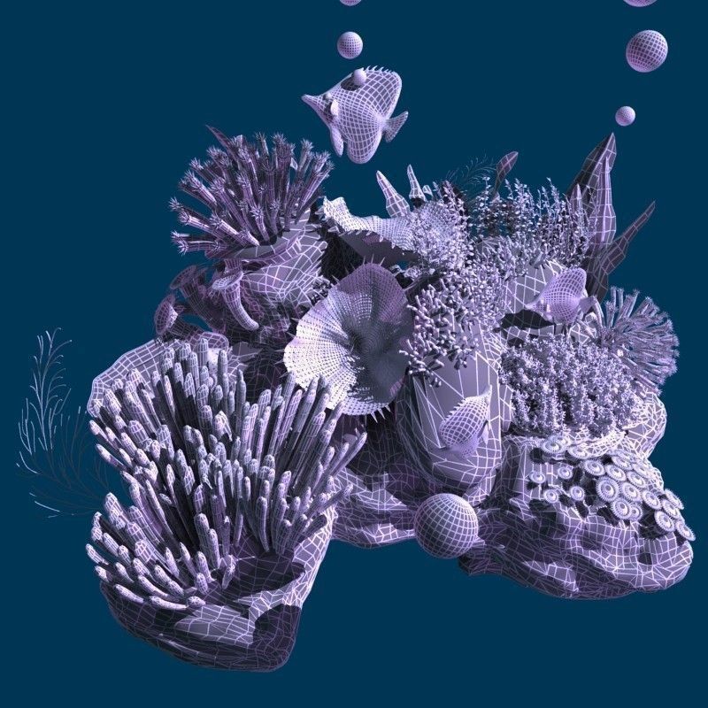 Coral reef transparent 3D model_10