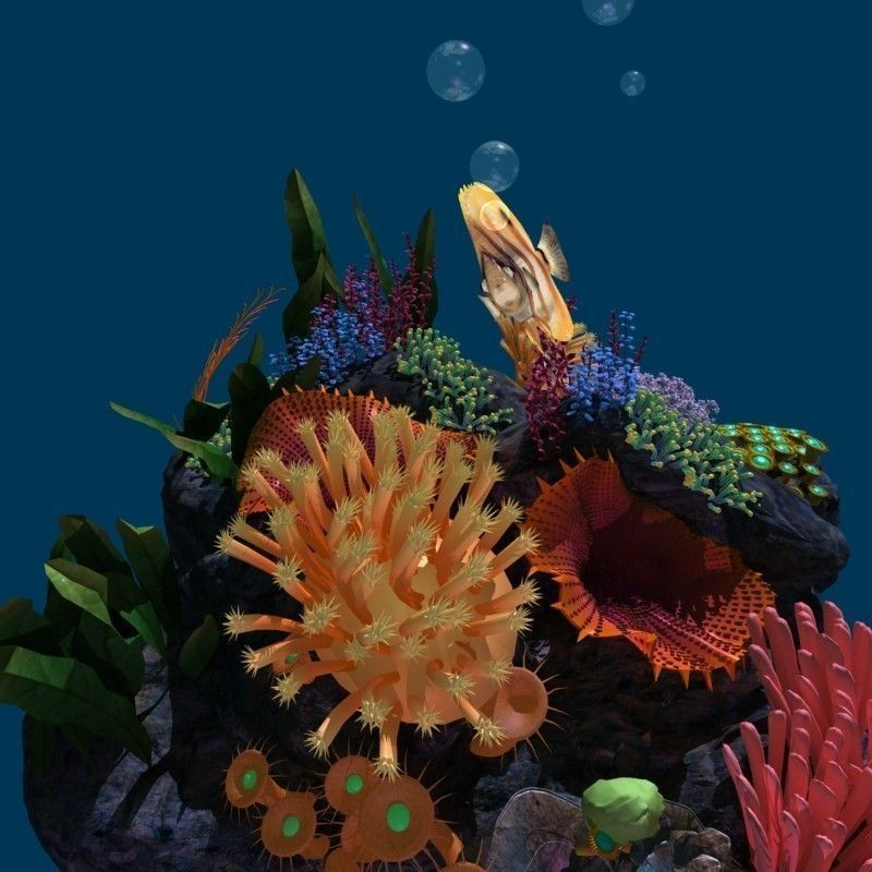 Coral reef transparent 3D model_9
