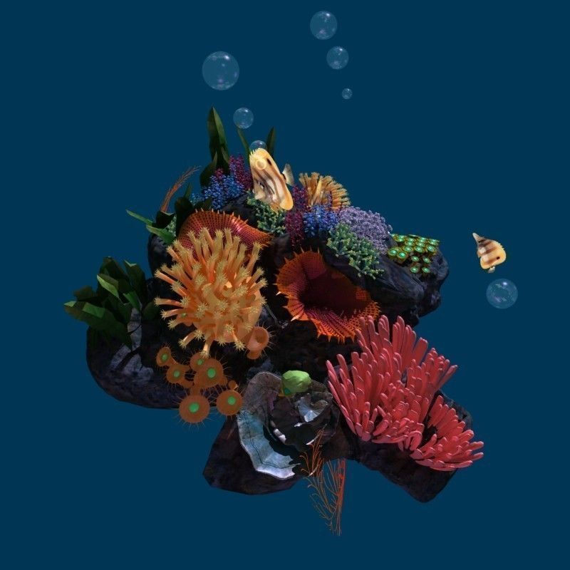 Coral reef transparent 3D model_2