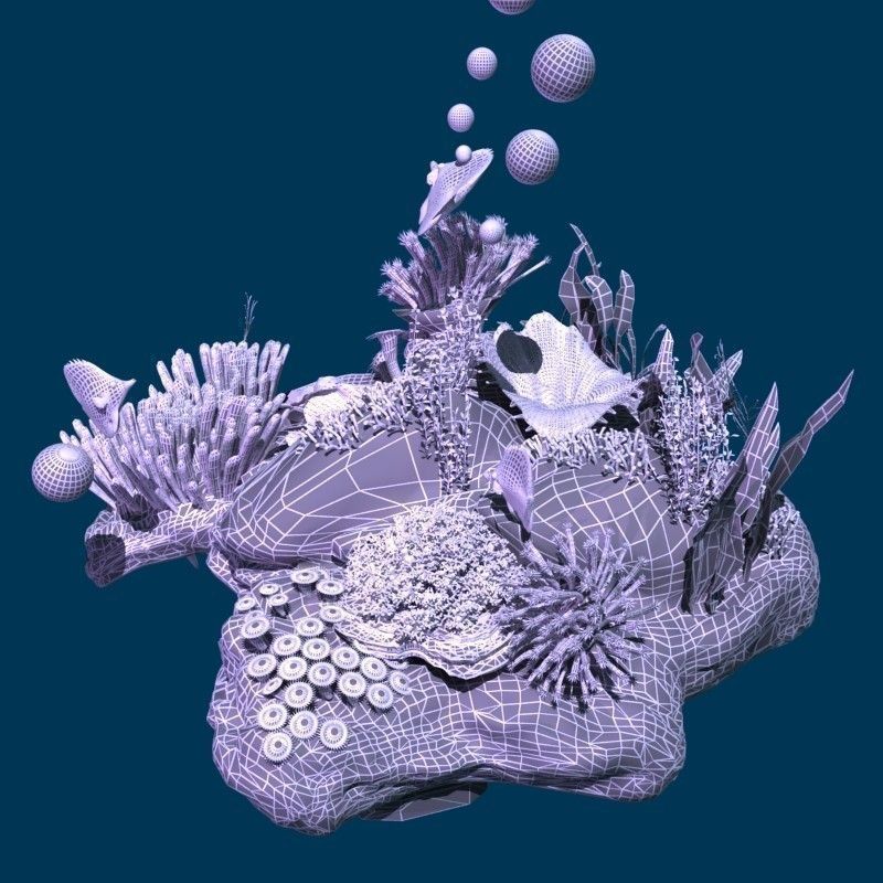 Coral reef transparent 3D model_8