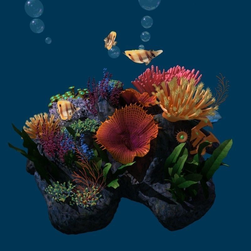 Coral reef transparent 3D model_1