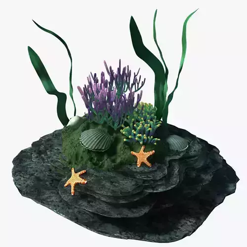 Coral 07-     3D model