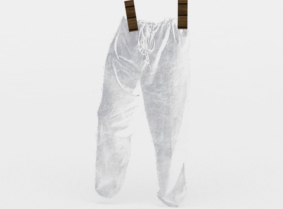 Hanging laundry Low-poly 3D model_0