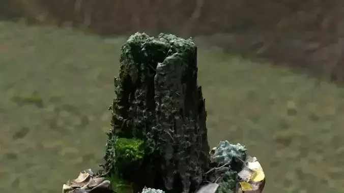 Stump with moss
