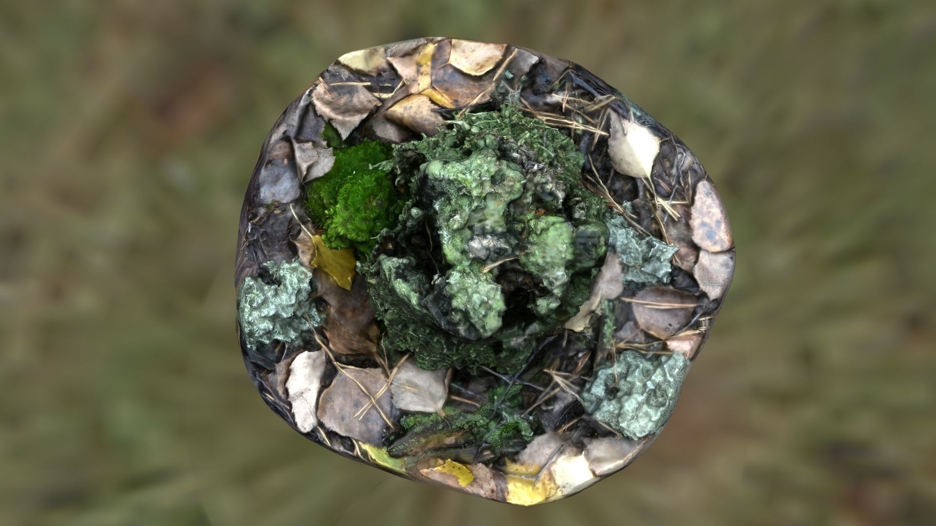 Stump with moss 3D model_2