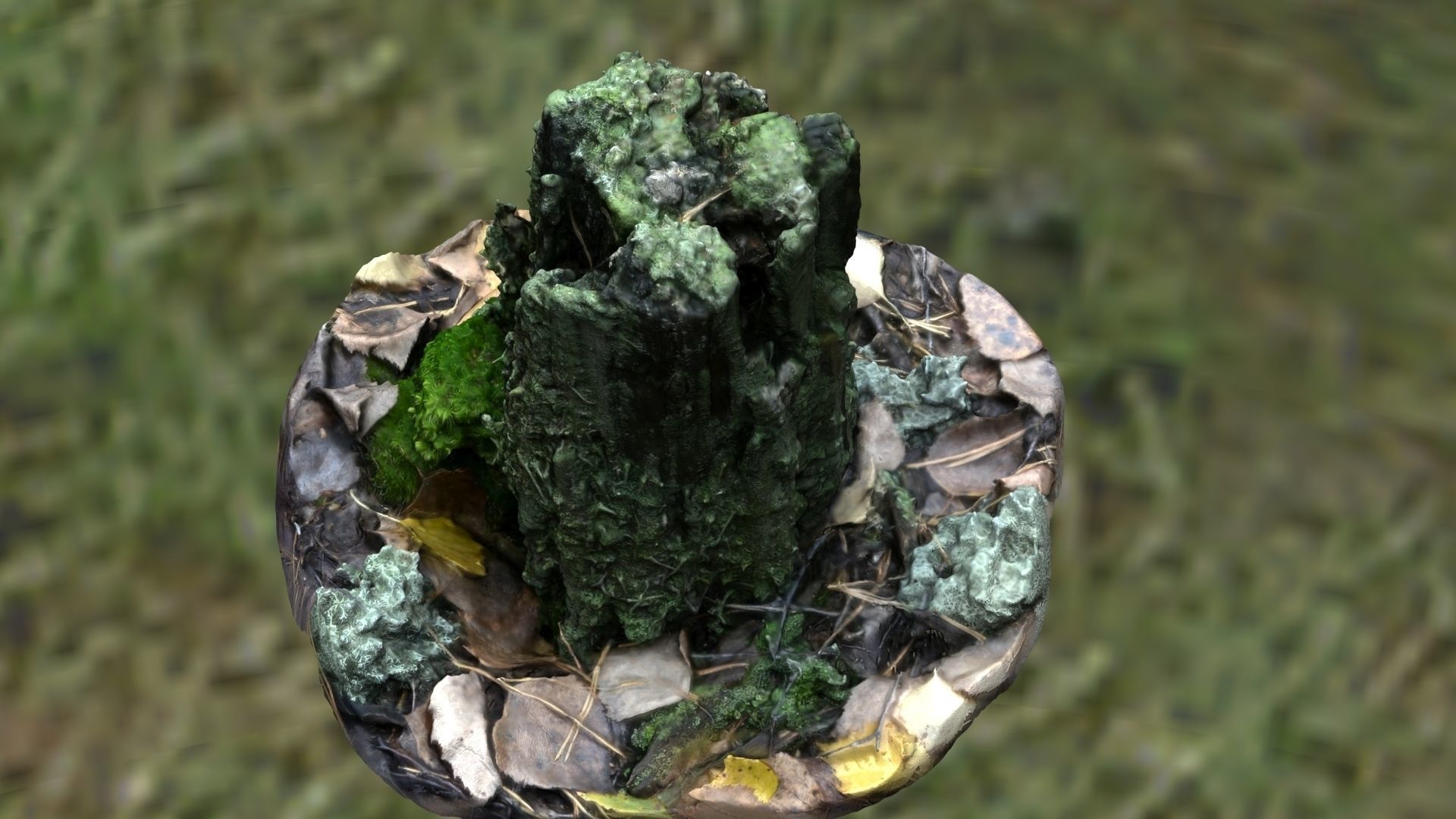 Stump with moss 3D model_1
