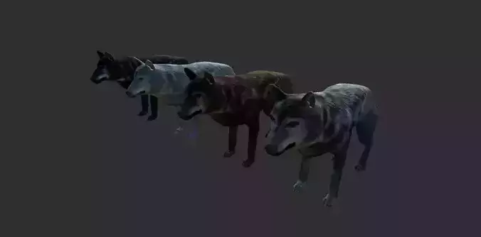 Wolf Animals Low-poly 3D model