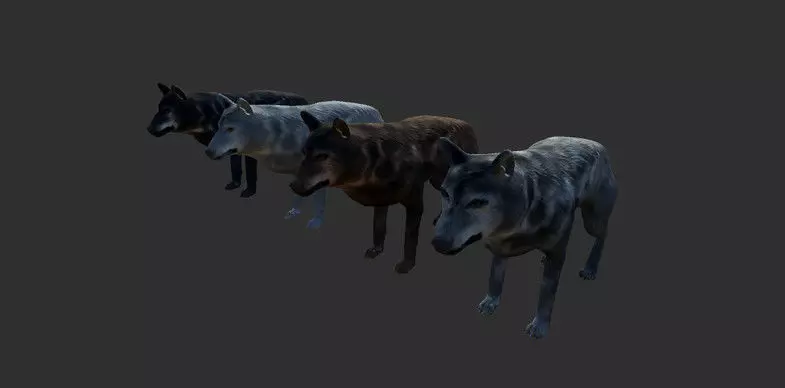 Wolf Animals Low-poly 3D model_0