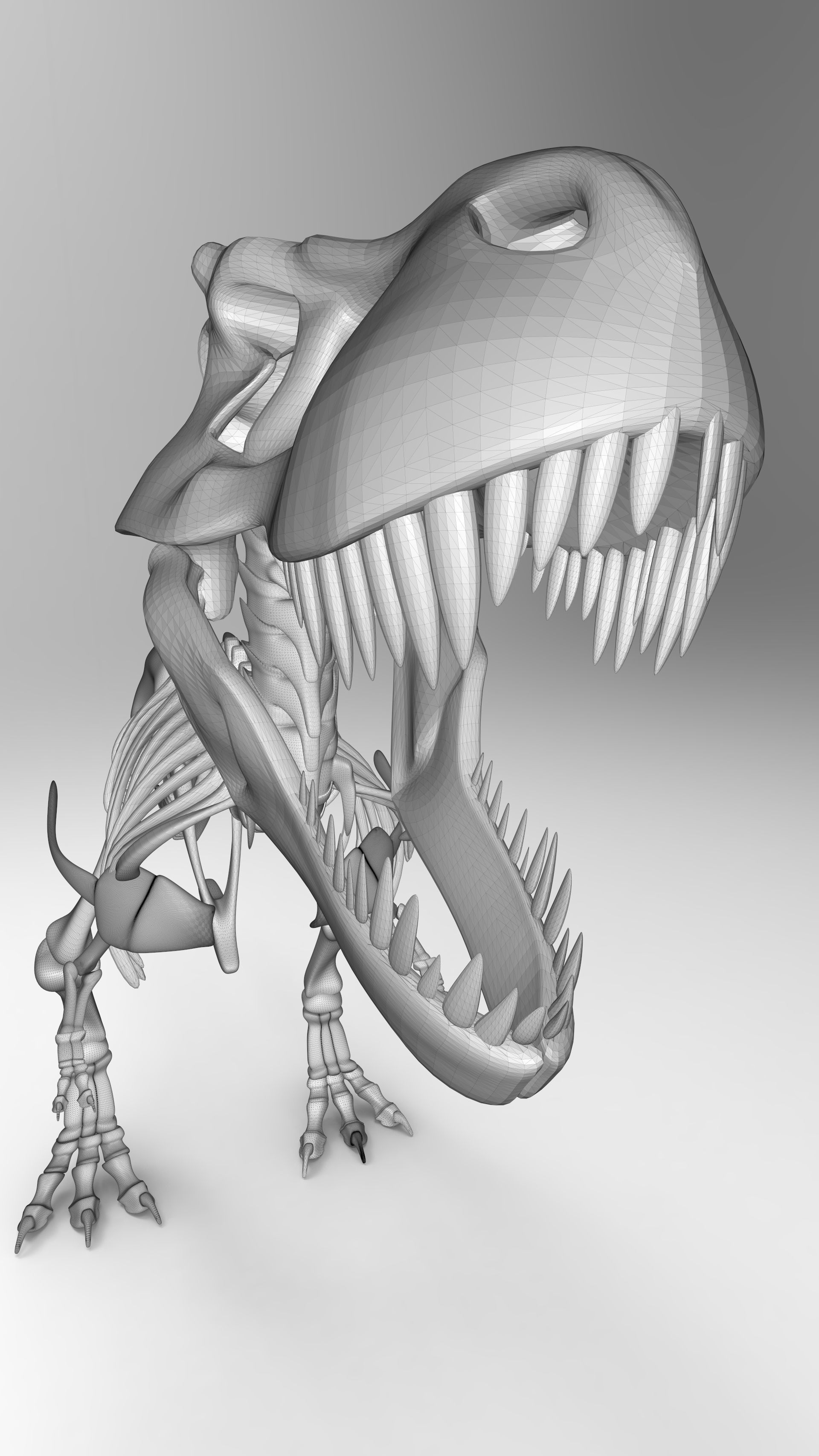 Tyrannosaurus Rex Skeleton 3D print model_5