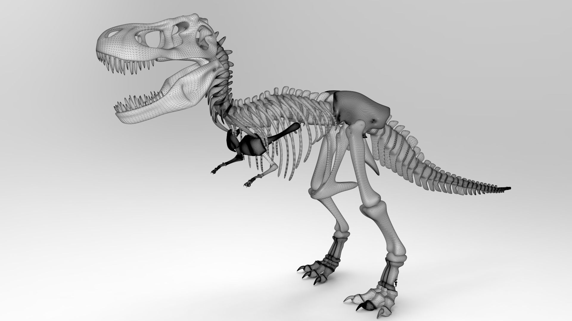 Tyrannosaurus Rex Skeleton 3D print model_2