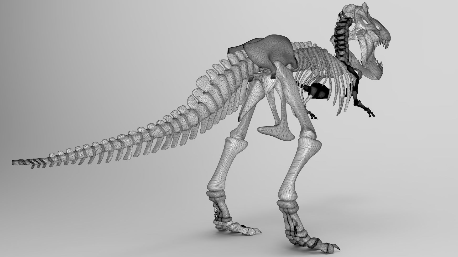 Tyrannosaurus Rex Skeleton 3D print model_3