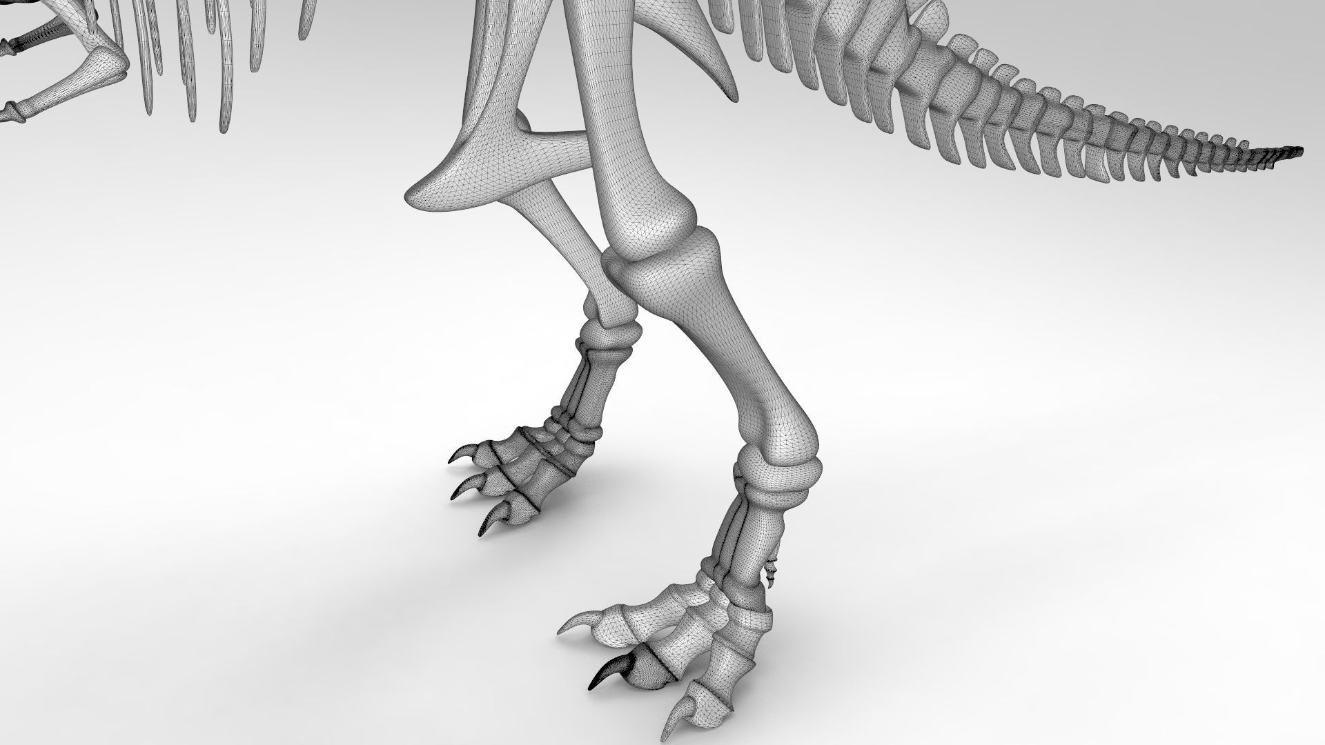 Tyrannosaurus Rex Skeleton 3D print model_4
