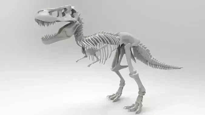 Tyrannosaurus Rex Skeleton 3D print model