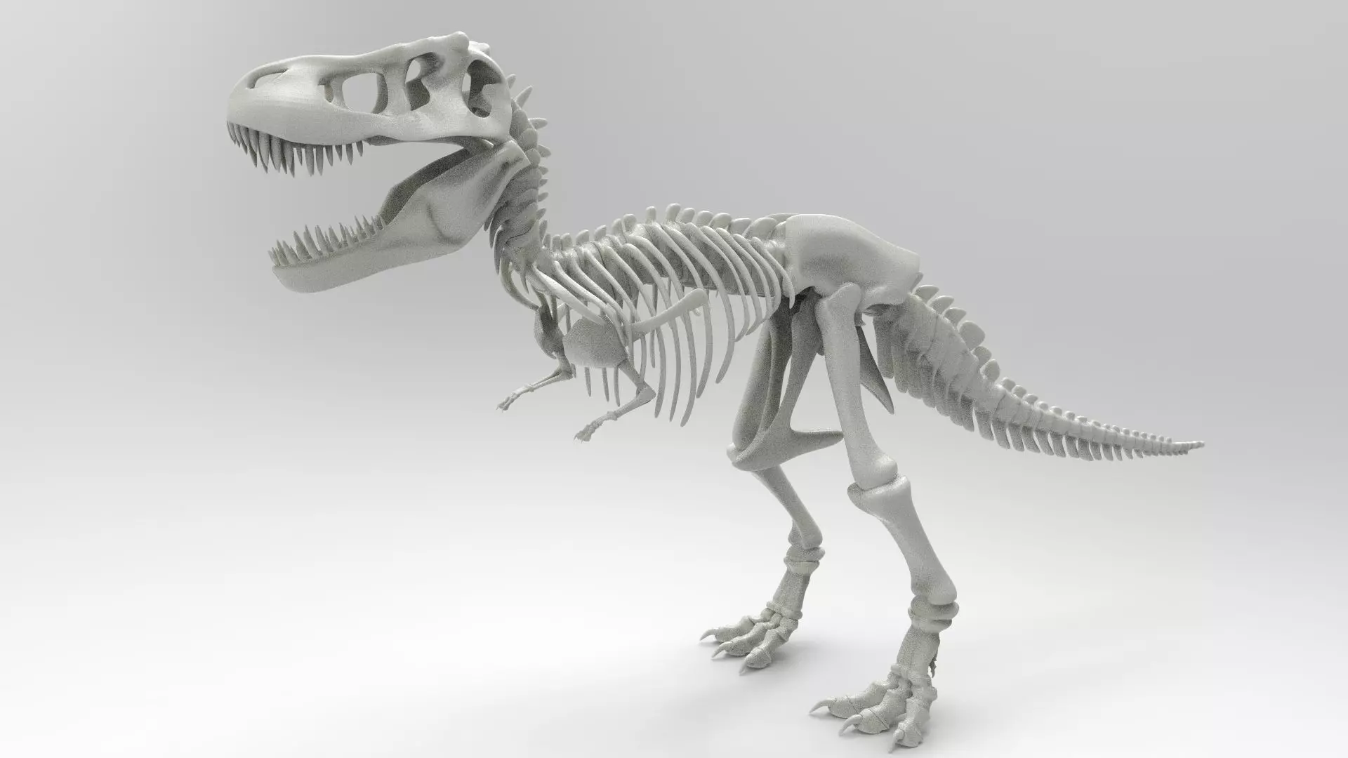 Tyrannosaurus Rex Skeleton 3D print model_0