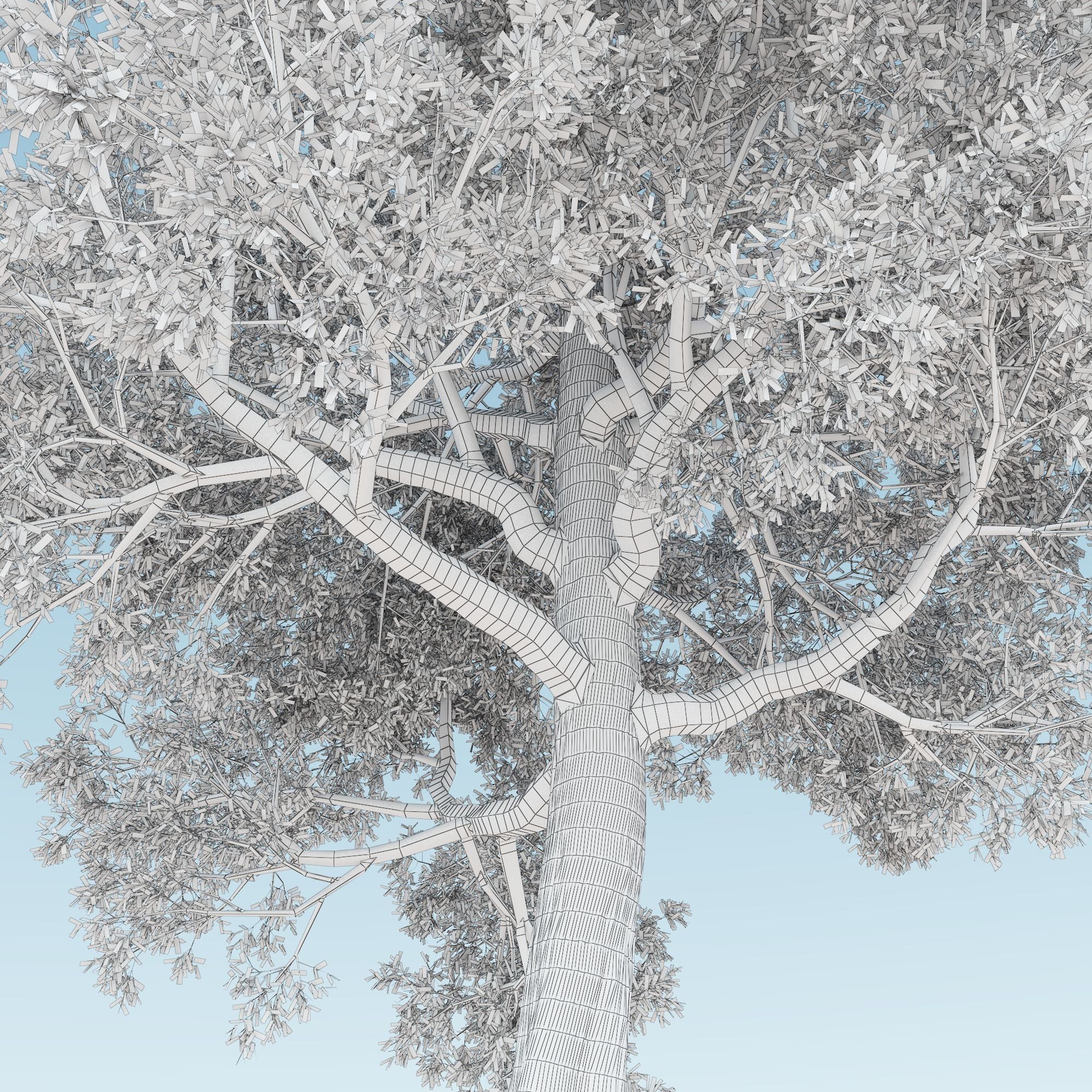 Tree 3d Model No 1 3D model_6