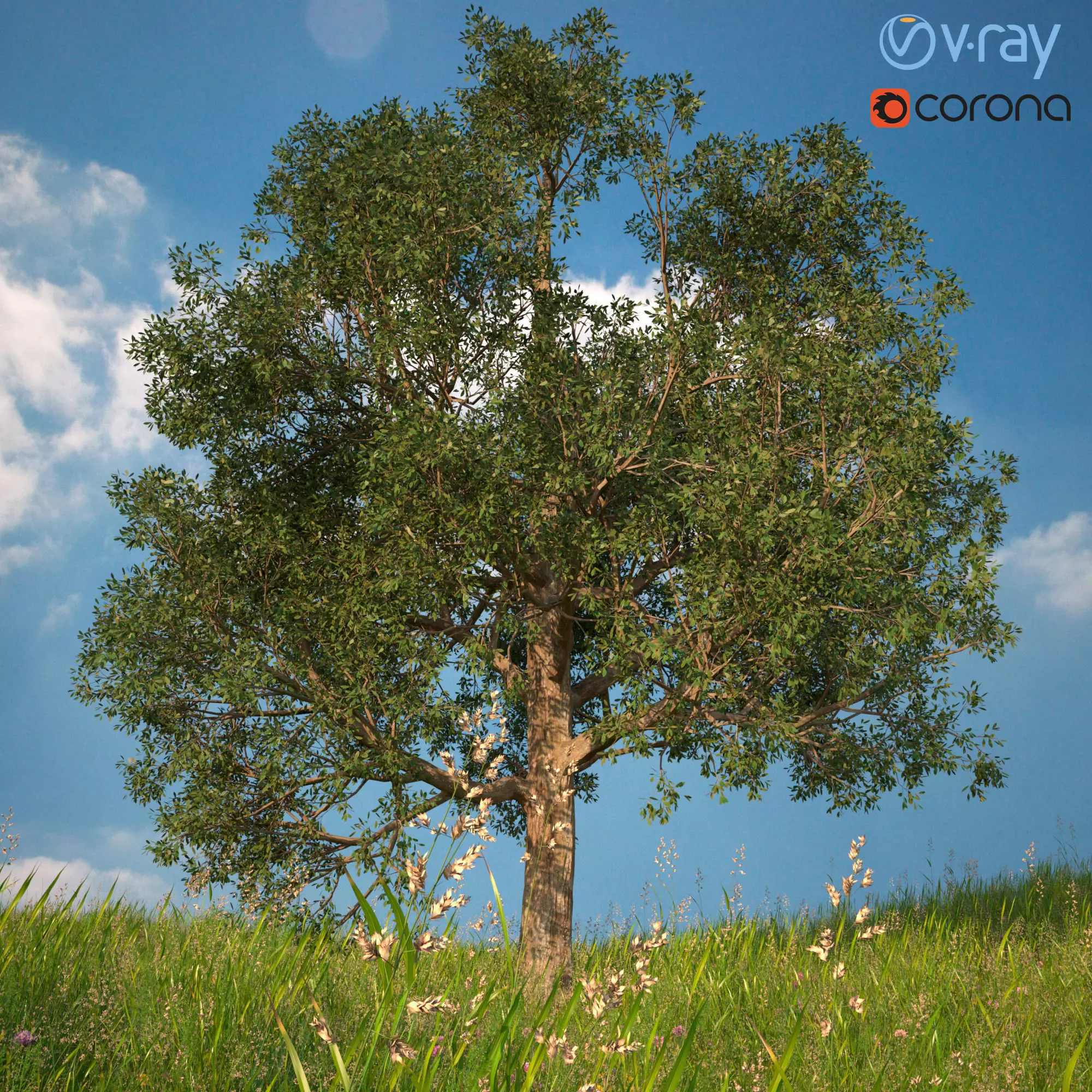 Tree 3d Model No 1 3D model_0