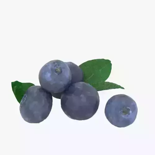 Blueberry blueberries Low-poly 3D model