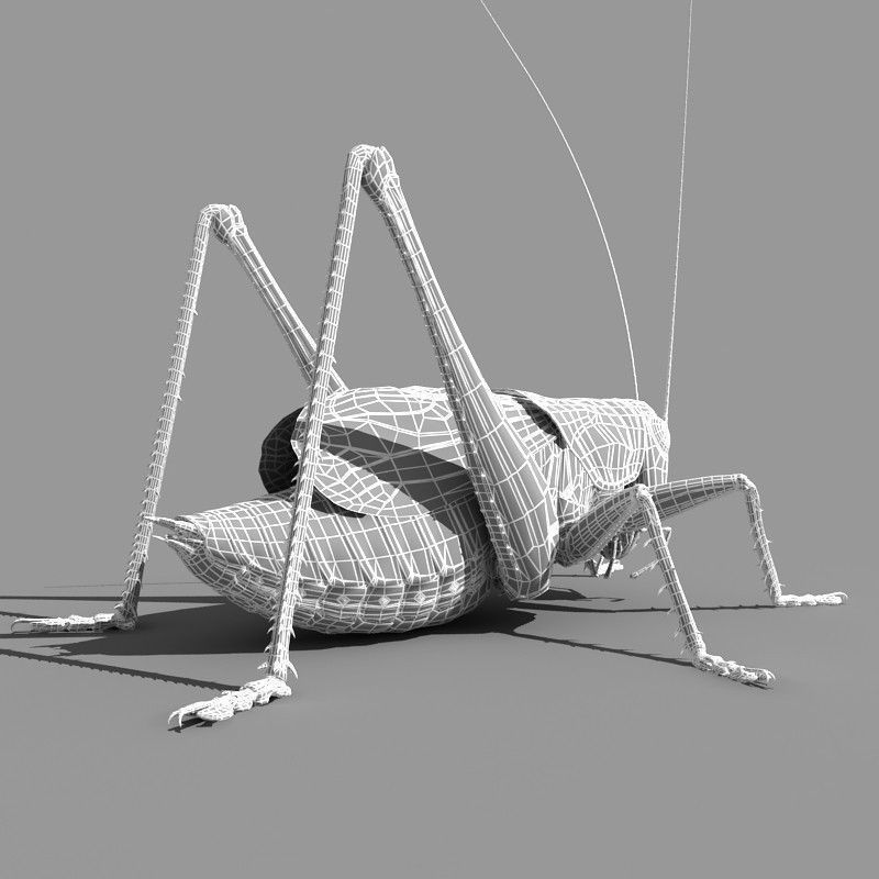 Grasshopper 3D model_14