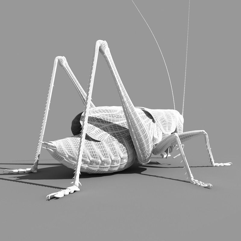 Grasshopper 3D model_15
