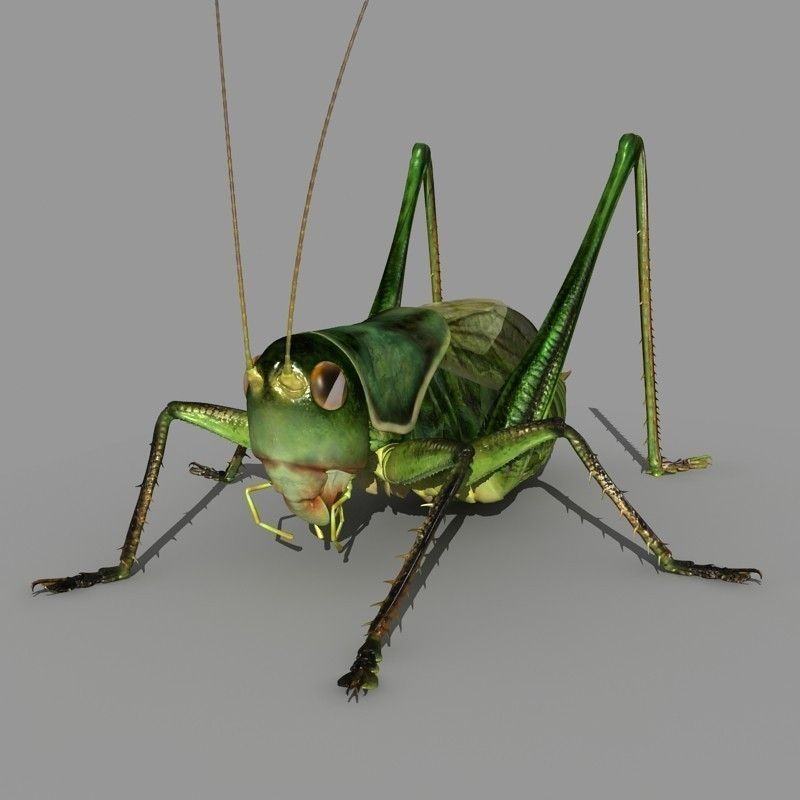 Grasshopper 3D model_3