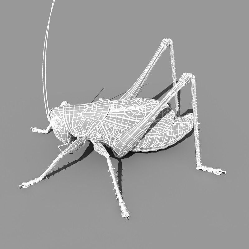 Grasshopper 3D model_11