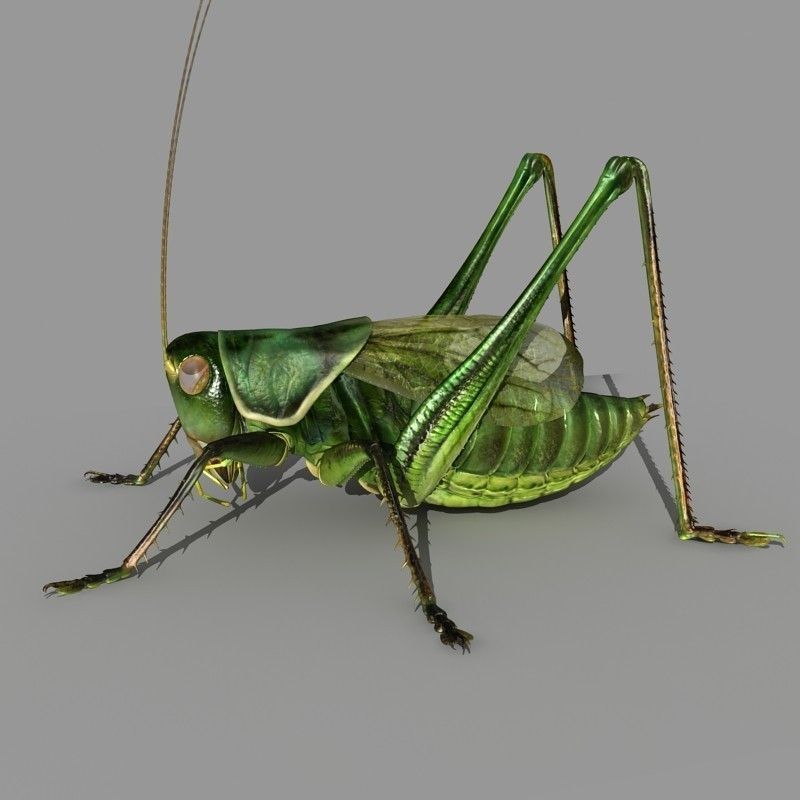 Grasshopper 3D model_7