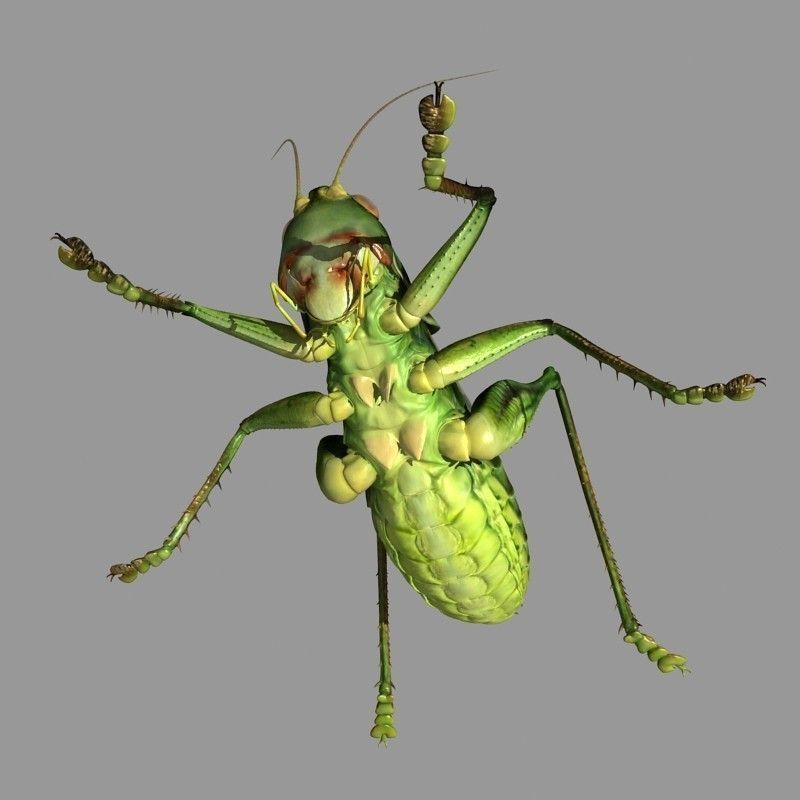 Grasshopper 3D model_8